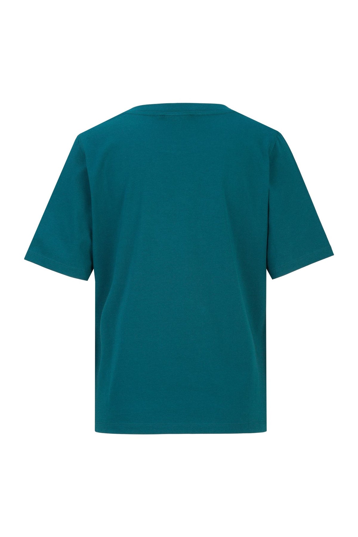 #color_Slate Teal