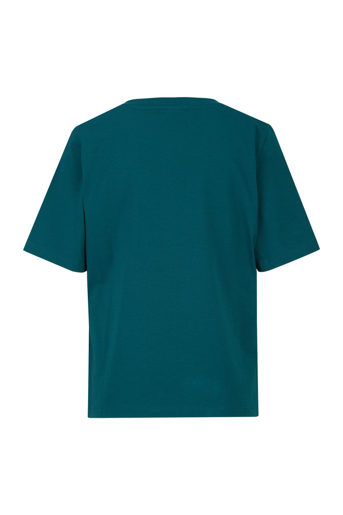 #color_Slate Teal