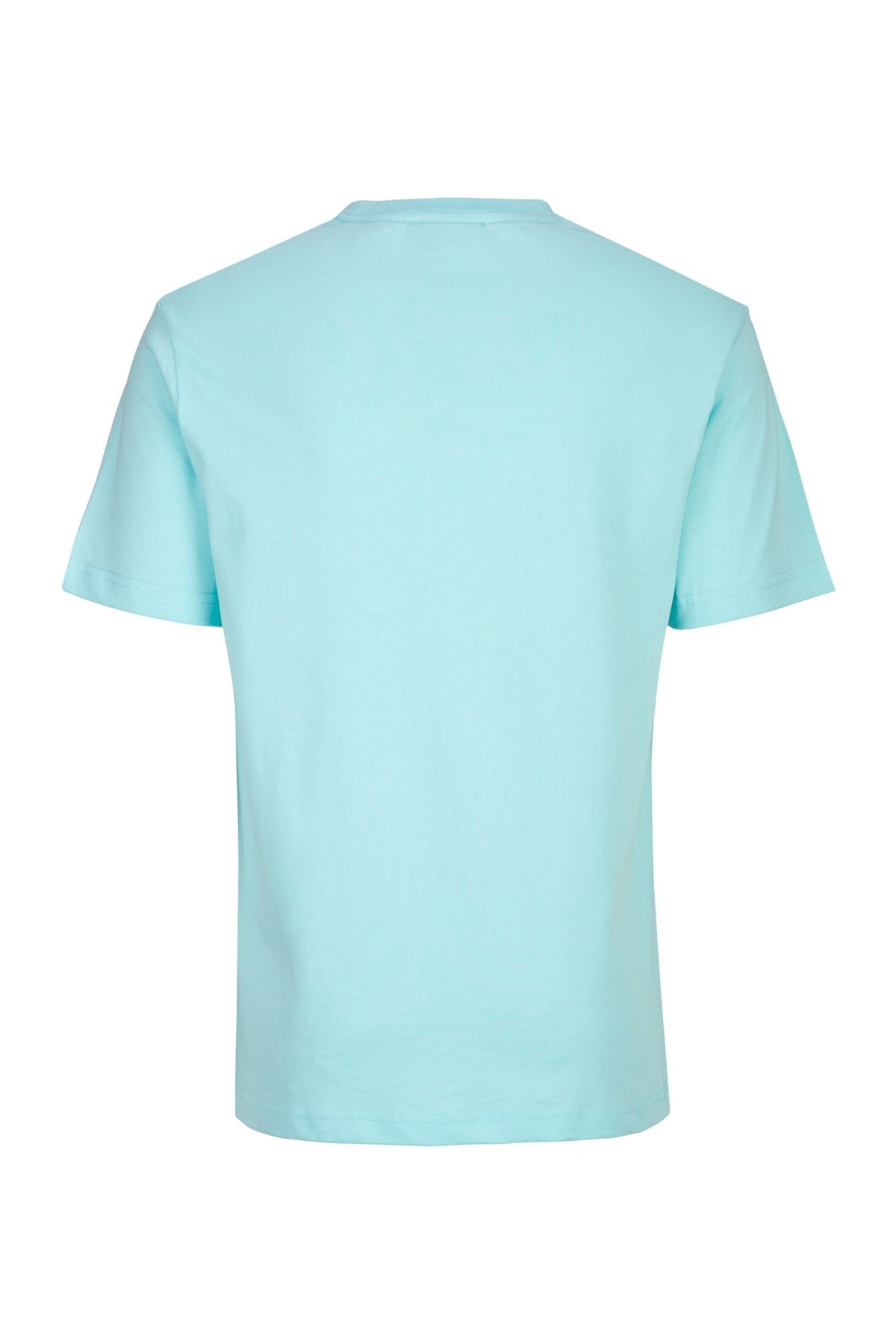 #color_Mint