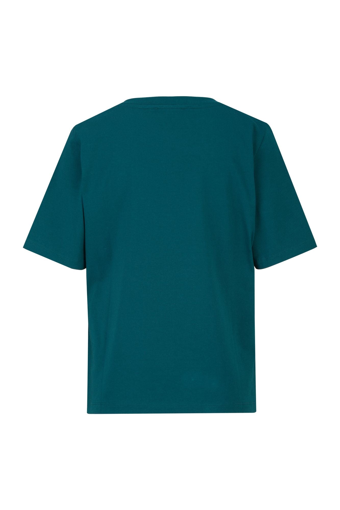 #color_Slate Teal